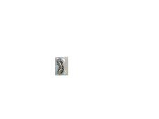 15-3542-SCREW for Dell -  SCREW SET