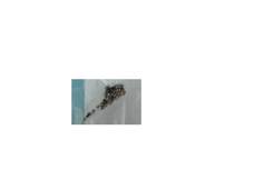 C201PA-SCREWS for Asus -   Complete Set Screw Kit