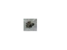 P55W-B522-SCREW for Toshiba -  Screw Kit