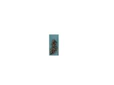 SCREW-CL15T-B1204 for TOSHIBA -    Screw Set CL15T-B1204